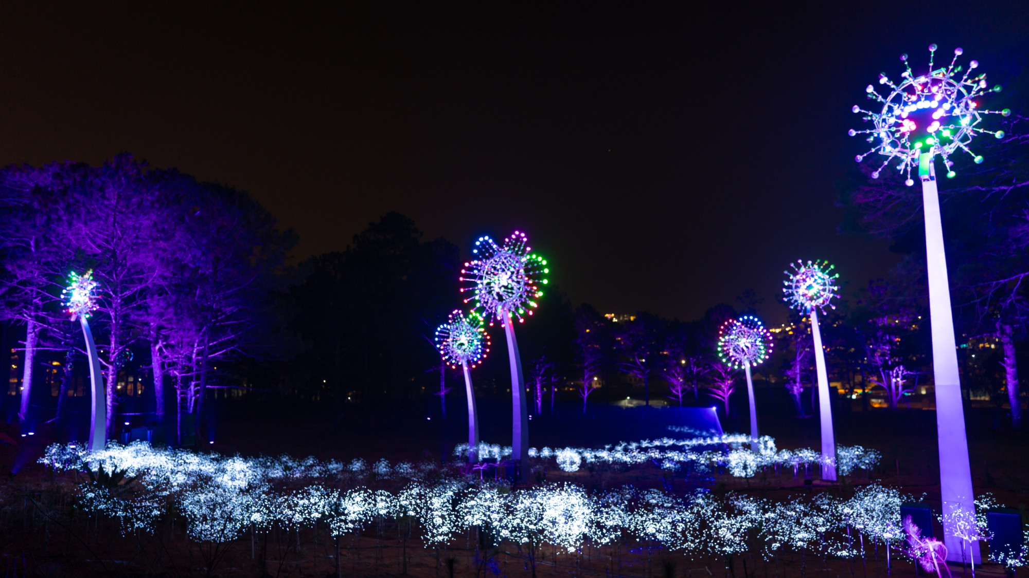 Delight Park Đà Lạt
